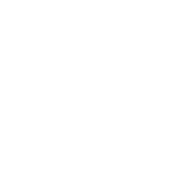 Talys-(-TALYS-)-token-logo