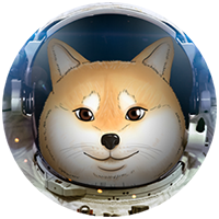 Space Doge Coin-(-SPACEDOGE-)-token-logo
