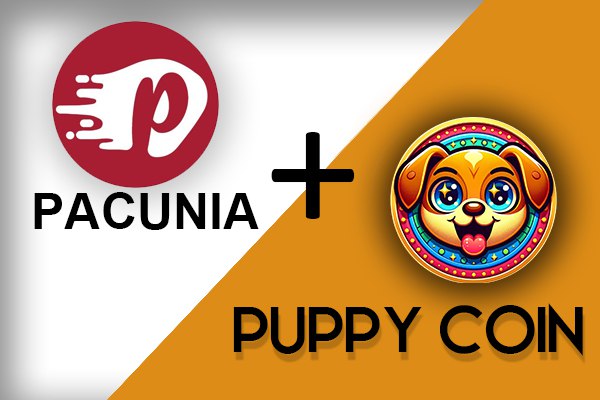 run-you-pup-masternode-on-pecunia-for-099usdt-1month