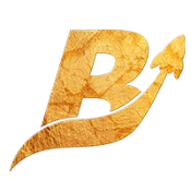 BroCoin-(-BRO-)-token-logo