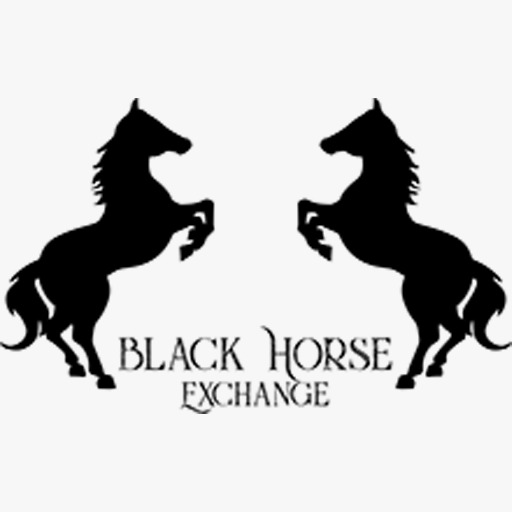BLACK HORSE EXCHANGE-(-BLACKHORSE-)-token-logo