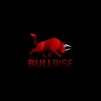 BullRise-(-BULL-)-token-logo
