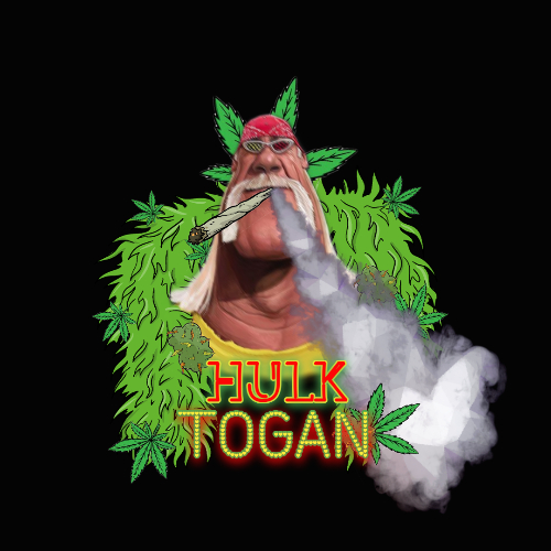 Hulk Togan-(-TOGAN-)-token-logo