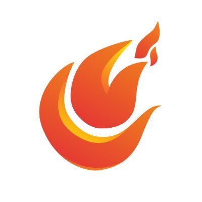 Crypto Burn Token-(-CBT-)-token-logo