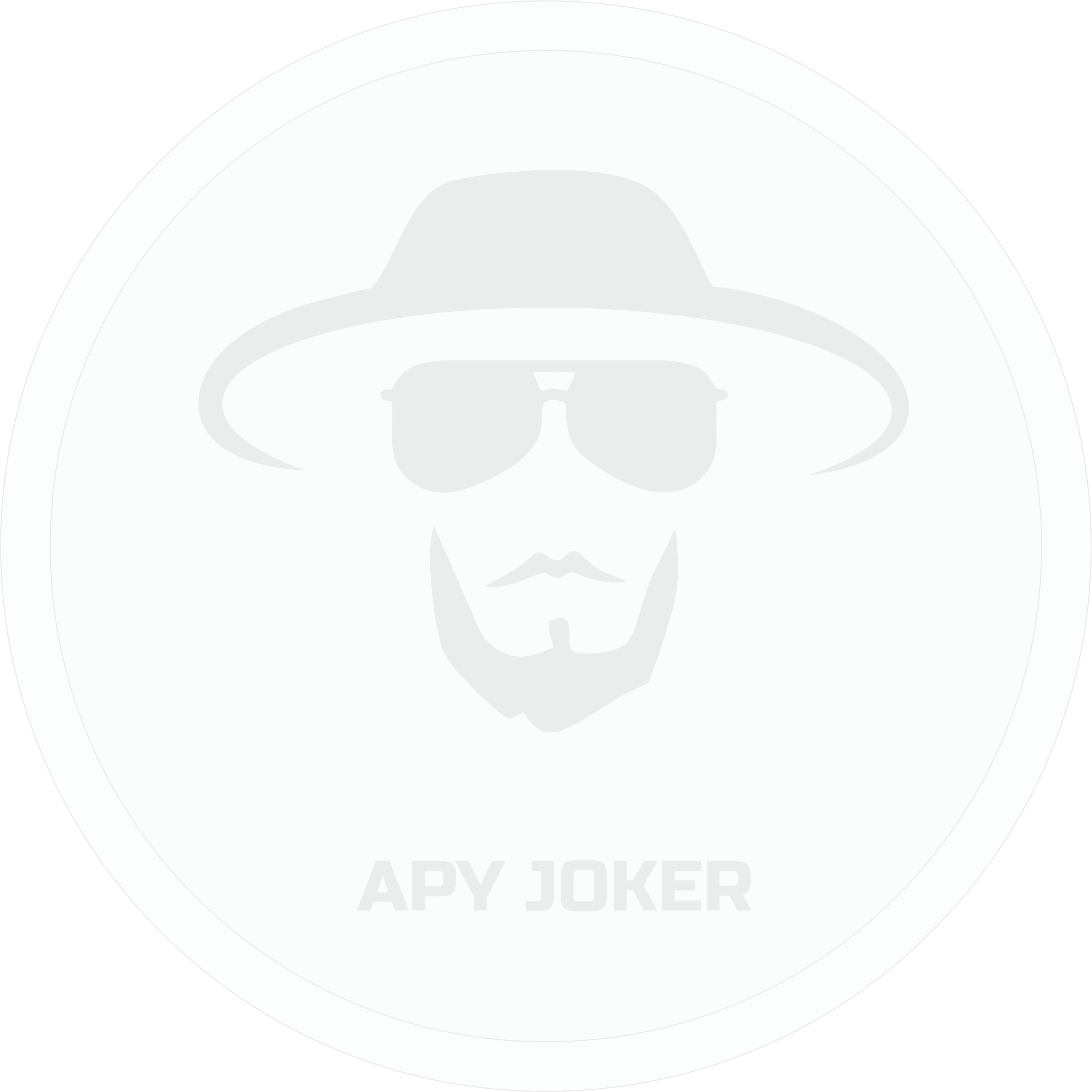 APY JOKER-(-APJO-)-token-logo