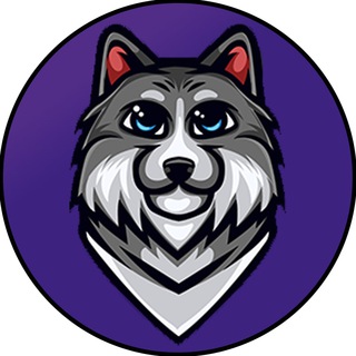 Vallhund Inu-(-VHIN-)-token-logo