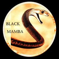 BLACK MAMBA COIN-(-BLM-)-token-logo