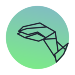 Raptor Finance [OLD]-(-RAPTR-)-token-logo