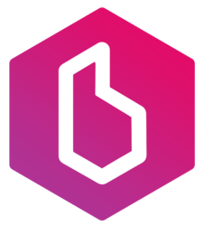 Brayzin Heist-(-BRZH-)-token-logo