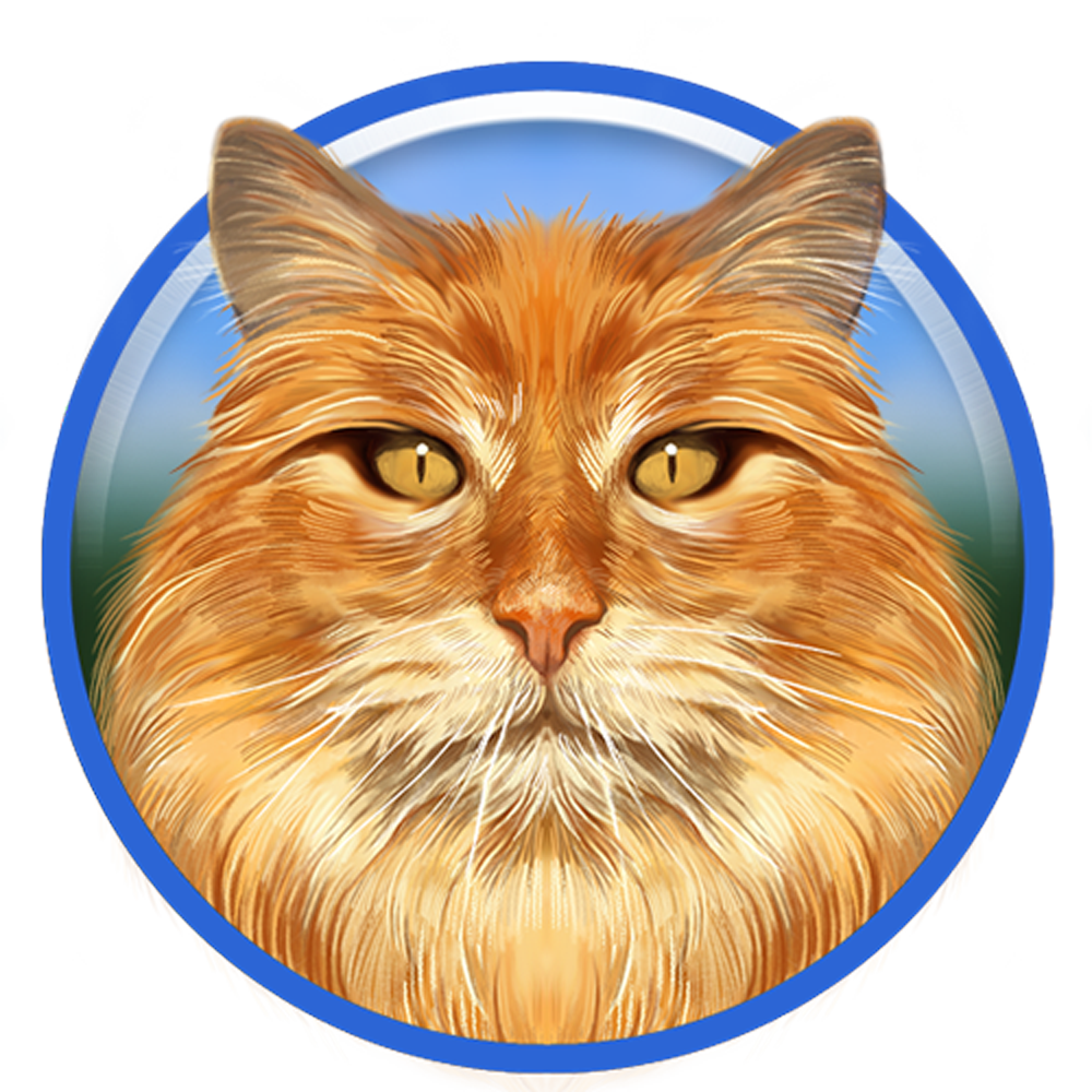 Ragdoll Cat NFT-(-RDC-)-token-logo