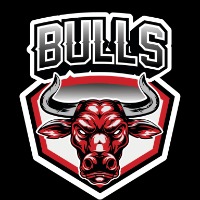 Bulls Coin-(-Bulls-)-token-logo