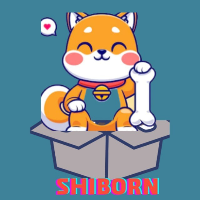 Shiborn-(-SHBRN-)-token-logo