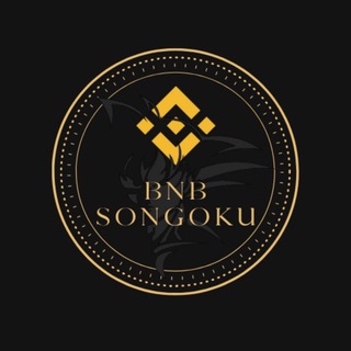 BNBsongoku-(-BNBsongoku-)-token-logo