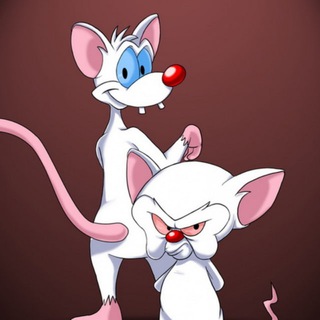 Pinky and the Brain-(-PINKY-)-token-logo