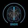 BNDR-(-SWIPES-)-token-logo