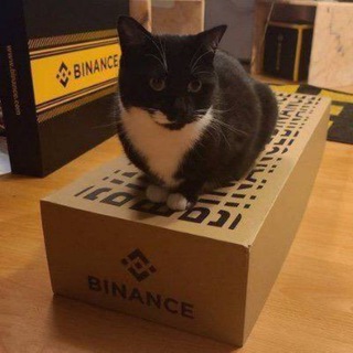 Binance Cat-(-POSEIDON-)-token-logo