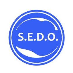 SEDO POW TOKEN-(-SEDO-)-token-logo