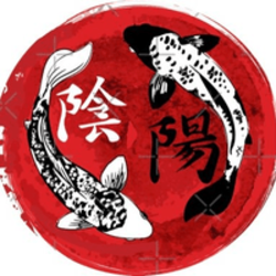 The Dragon Gate-(-KOI-)-token-logo
