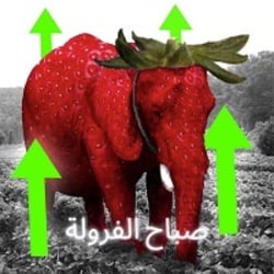 Strawberry Elephant-(-صباح الفر-)-token-logo