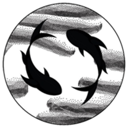 Nemo Sum-(-NEMO-)-token-logo