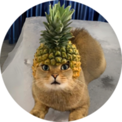 Pineapple Cat-(-PCAT-)-token-logo