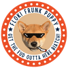 FlokiFrunkPuppy-(-FFPuppy-)-token-logo