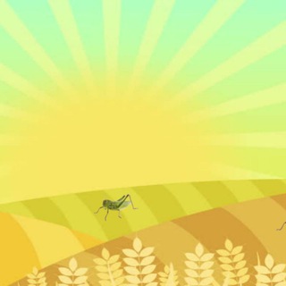 Grasshopper Farm-nft-game